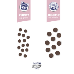 BALTICA NUTRACEUTIC Hypoallergenic Puppy Lamb  Rice 12 kg – hipoalergiczna karma dla szczeniąt | Pup