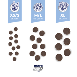 BALTICA NUTRACEUTIC Hypoallergenic Fish  Rice Light L/XL 12 kg – dry dog food | Pupilowa Kraina