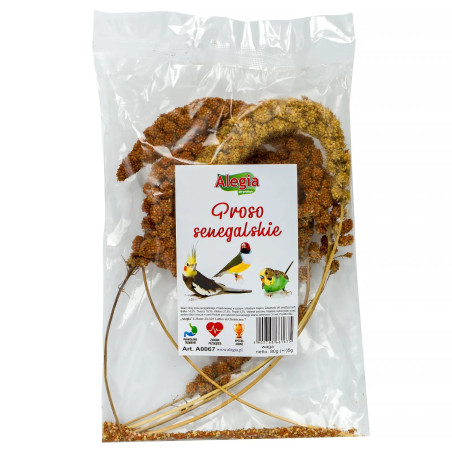 Alegia Proso Senegalskie 80 g – naturalny przysmak dla ptaków | Pupilowa Kraina