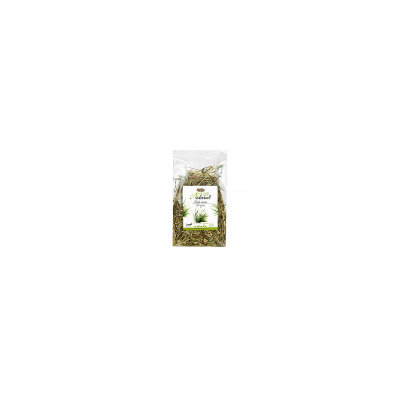 Alegia Natural Oat Grass 80 g – natural dried herb for rabbits and rodents | Pupilowa Kraina