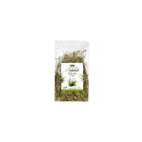 Alegia Natural Oat Grass 80 g – natural dried herb for rabbits and rodents | Pupilowa Kraina