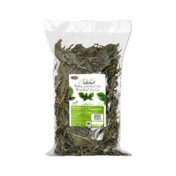 Alegia Natural Babka Szerokolistna 300 g – naturalny susz ziołowy dla królika i gryzoni | Pupilowa K