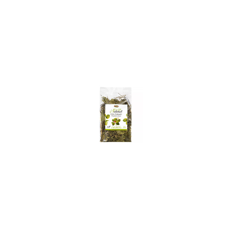 Alegia Natural Strawberry Leaves 90 g – natural herbal food for rabbits and rodents | Pupilowa Krain