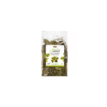 Alegia Natural Strawberry Leaves 90 g – natural herbal food for rabbits and rodents | Pupilowa Krain