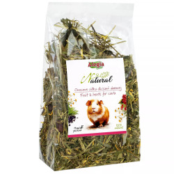 Alegia Natural Owocowe Ziółka dla Kawii Domowej 130 g – mieszanka ziół i owoców dla świnki morskiej 