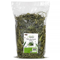 Alegia Natural Plantain Herb 300 g – natural herbal food for rabbits and rodents | Pupilowa Kraina
