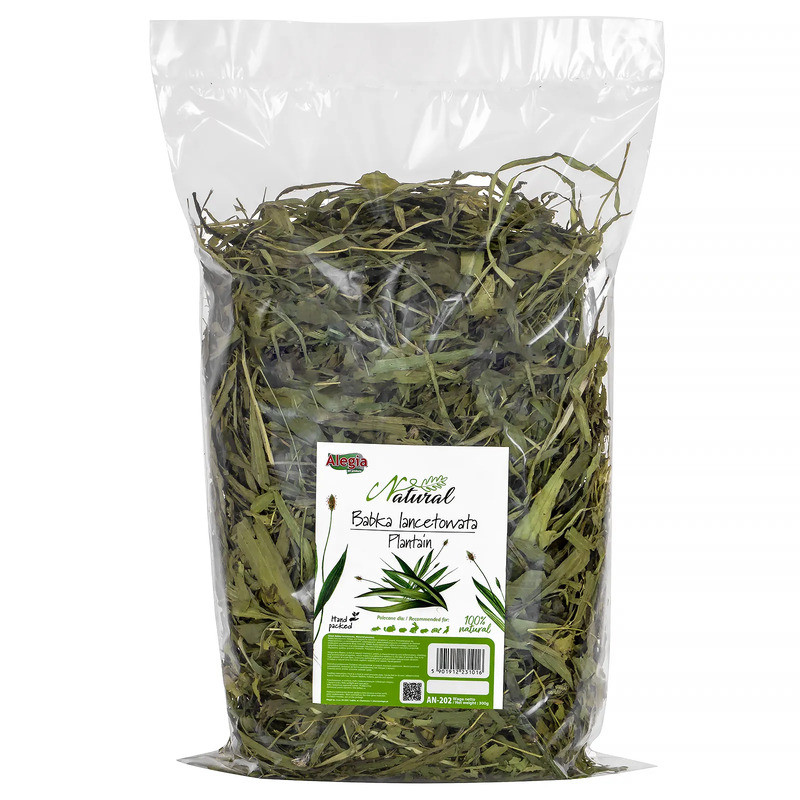 Alegia Natural Plantain Herb 300 g – natural herbal food for rabbits and rodents | Pupilowa Kraina