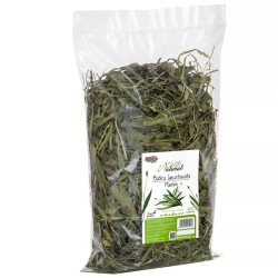 Alegia Natural Plantain Herb 300 g – natural herbal food for rabbits and rodents | Pupilowa Kraina