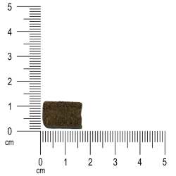Karma dla psa Ibero Cold Pressed Adult M/L Ryba 12 kg – dla średnich i dużych ras