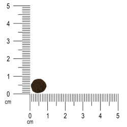 Dry dog food Ibero Natural Junior M 3 kg – for medium breed puppies