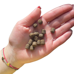 Dry dog food Farma Adult Cold Pressed Rabbit 2 kg – natural grain-free diet