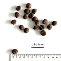 Karma sucha dla psa Farma Tłoczona na Zimno Jagnięcina 2 kg – naturalna bezzbożowa dieta