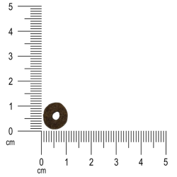 Ibero Natural Dog Mini Adult 12 kg – grain-free dry food for small dogs | Pupilowa Kraina