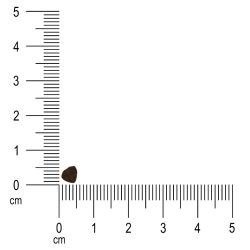 Ibero Natural Mini Junior 12 kg – grain-free puppy food for small breeds | Pupilowa Kraina