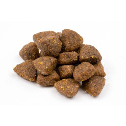 Karma sucha dla psa Profine Adult 12 kg Łosoś z ziemniakami – naturalna karma premium