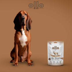 Dog treats Ollo Air Dried 100% Venison Strips 80 g – natural venison snacks