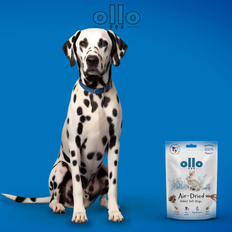 Przysmaki dla psa Ollo Air Dried 100% Królik Strips 80 g – naturalne paski z królika