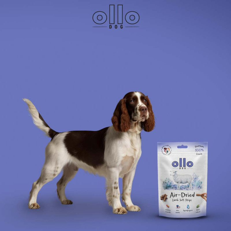 Dog treats Ollo Air Dried 100% Lamb Strips 80 g – natural lamb snacks