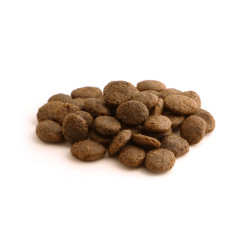 Karma sucha dla psa Fish4Dogs Finest Salmon Adult L 1,5 kg – dla dużych ras