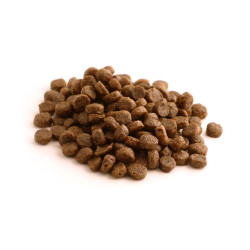 Dry dog food Fish4Dogs Salmon Adult S 1.5 kg – for small breed dogs