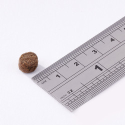 Dry dog food Fish4Dogs Finest Salmon Senior 1.5 kg – for senior dogs