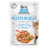Brit Care Fillets in Jelly Tender Turkey and Shrimps 85 g – mokra karma dla kota | Pupilowa Kraina