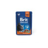 Brit Premium Cat Sterilised Salmon 100 g – wet food for cats | Pupilowa Kraina