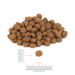 Dry puppy food Perro JUNIOR Beef with Sweet Potatoes 9 kg – complete diet