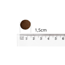 BALTICA EXCELLENT Junior Salmon Hypoallergenic L/XL 3 kg – sucha karma dla szczeniąt|Pupilowa Kraina