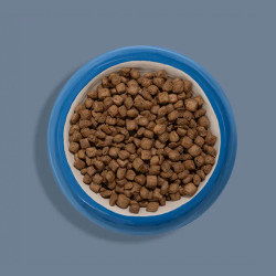 Ziwi Peak Steam  Dried Lamb with Green Vegetables – Natural Dry Dog Food