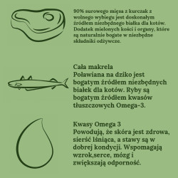 Ziwi Peak Steam  Dried Kurczak z Makrelą 800 g – naturalna karma sucha dla kota