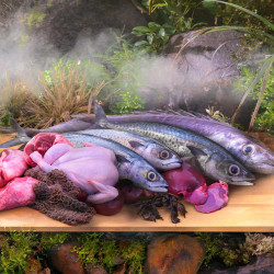 Ziwi Peak Steam  Dried Kurczak z Makrelą 800 g – naturalna karma sucha dla kota