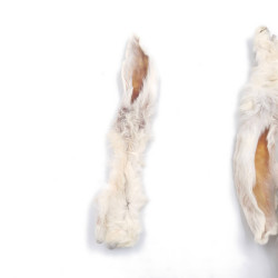 Best Dog Ucho królika z futrem 200 g – naturalny przysmak dla psa