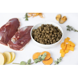 YDOLO Duck 2.5 kg – semi-moist dog food with duck