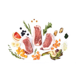 YDOLO Iberico 10 kg – półwilgotna karma sucha dla psa z wieprzowiną Iberico