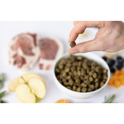 YDOLO Iberico 10 kg – semi-moist dry dog food with Iberico pork