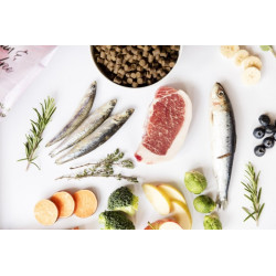 YDOLO Puppy 2.5 kg – semi-moist dry food for puppies with Iberico pork and fish