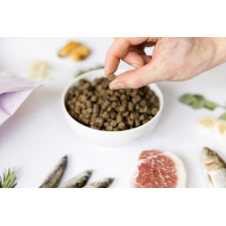 YDOLO Puppy 2,5 kg – półwilgotna karma sucha dla szczeniąt z Iberico i rybami