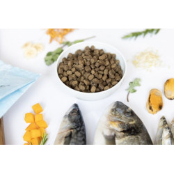 YDOLO Wild Fish 10 kg – semi-moist dry dog food with marine fish