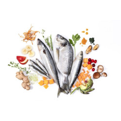 YDOLO Wild Fish 10 kg – półwilgotna karma sucha dla psa z ryb morskich