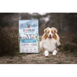 YDOLO Wild Fish 10 kg – półwilgotna karma sucha dla psa z ryb morskich