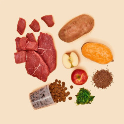 DOG'S LOVE Pferd 2 kg – dry dog food with horse meat, sweet potatoes and apples