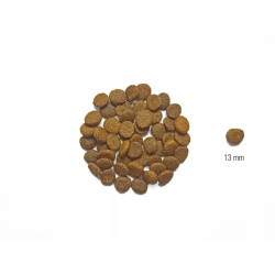 DOG'S LOVE Senior Wild 2 kg – dry food for senior dogs with game meat