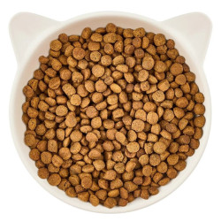 WOW CAT Junior poultry 2 kg – dry food for kittens