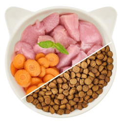 Dry Cat Food WOW CAT Junior Poultry for Kittens 325g