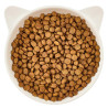 Dry Cat Food WOW CAT Junior Poultry for Kittens 325g