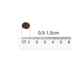 Karma sucha dla psa BALTICA Nutraceutic Lamb  Rice Adult XS/S 3kg