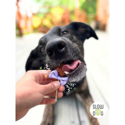 Dog Treats Slow Dog Meat Lollipops Duck Flavour 4 pcs