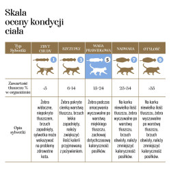 Dr Malou kaczka z jagnięciną 10 g – liofilizowana karma dla kota | PupilowaKraina.pl