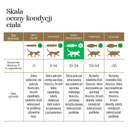 Dr Malou kurczak z łososiem 10 g – liofilizowana karma dla kota | PupilowaKraina.pl